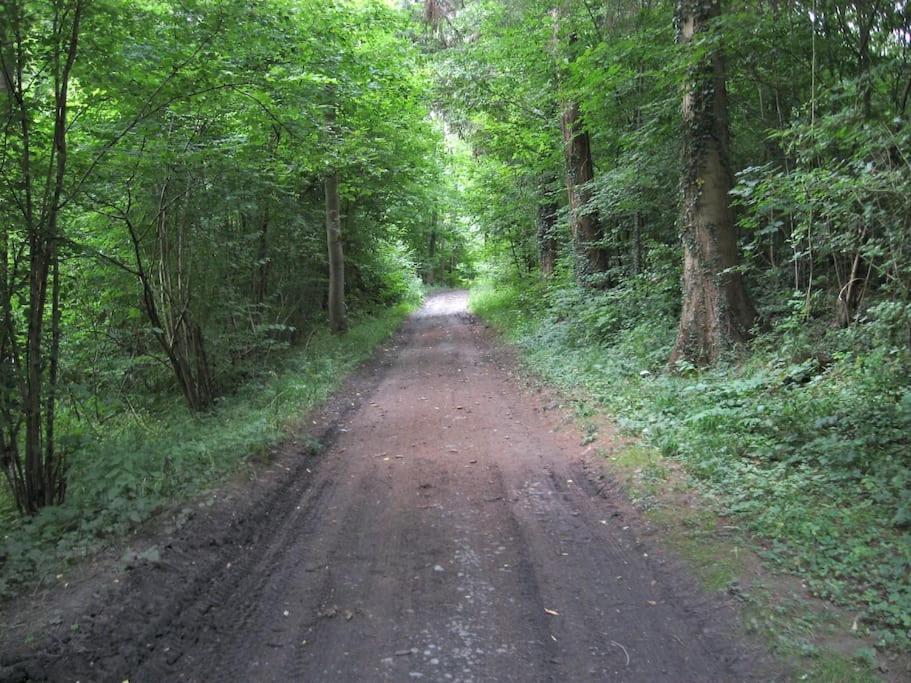 Gite Rural "L'Anseromia" Dinant Bagian luar foto